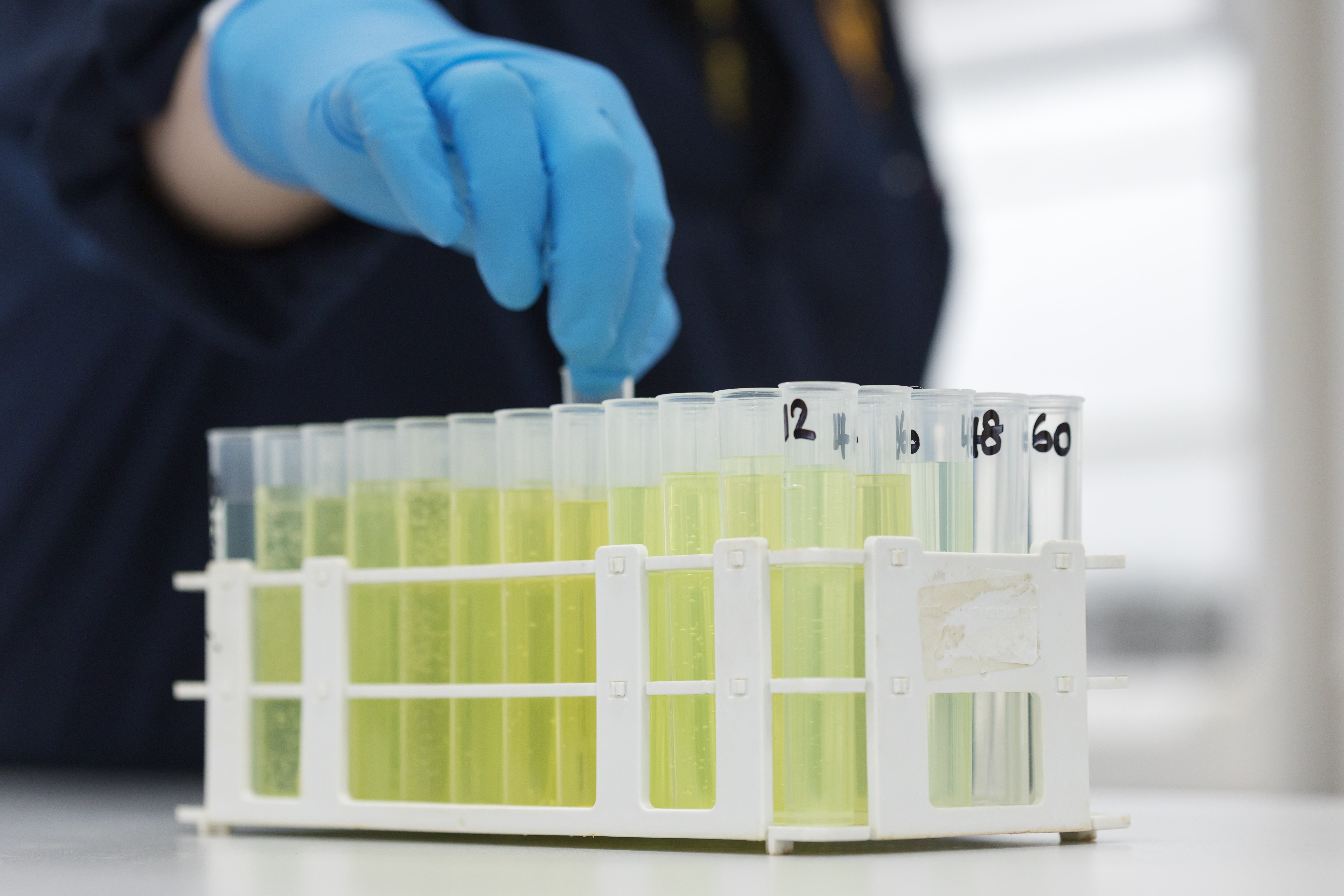 scientist picking up test tube from rack of many tubes