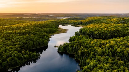 A serene aerial view of a lush forest and winding river under a golden sunset